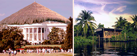 two pics, the white hut which looks identical to the famous white house except it has a straw thatched roof, wooden hut with tortoise written on it in a deep jungle setting by the water